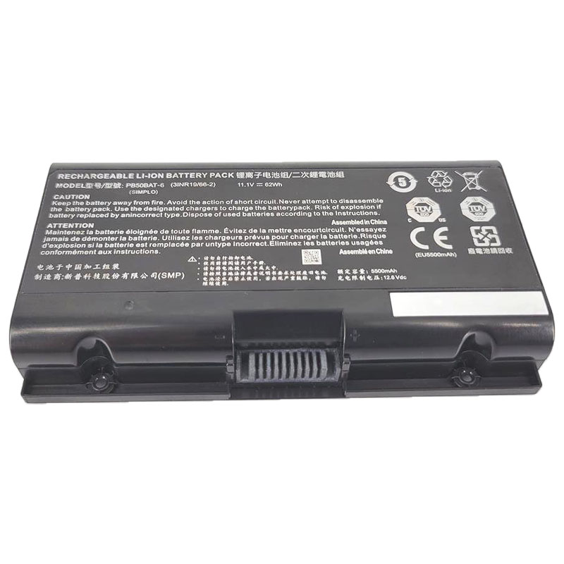 62Wh 5500mAh XMG PRO 15 E19 XPR15E19 Accu Batterij