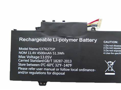 Gateway GWTN141-4 GWTN141-2 GWTN141-10 Accu Batterij 4500mAh 51.3Wh